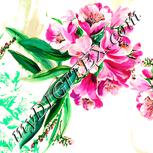 Colour:J