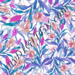 Colour:B