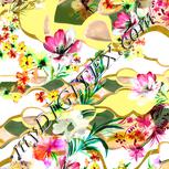 Colour:A