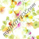 Colour:K