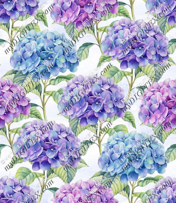 Hydrangea Hues