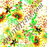 Colour:K