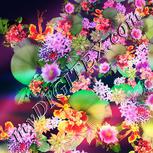 Colour:A