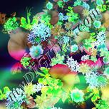 Colour:D