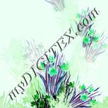 Colour:C