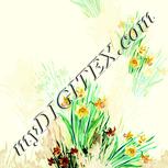 Colour:K
