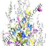 Colour:A
