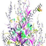 Colour:B