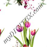 Colour:A