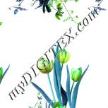 Colour:C