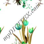 Colour:D