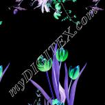 Colour:F