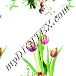 Colour:K