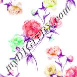 Colour:B
