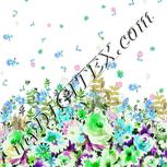 Colour:D