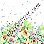 Colour:K