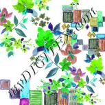Colour:C