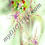 Colour:K