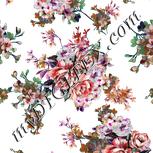 Colour:B