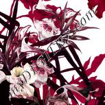 Colour:A