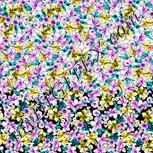 Colour:B