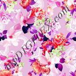 Colour:B