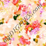 Colour:J