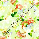 Colour:K