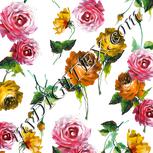 Colour:A