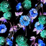 Colour:F