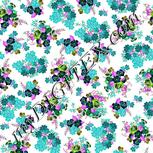 Colour:F