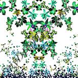 Colour:F