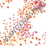 Colour:J