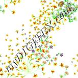 Colour:K