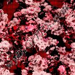 Colour:J