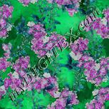 Colour:C