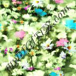 Colour:K