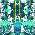 Colour:F