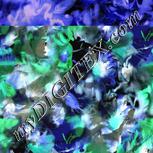 Colour:F