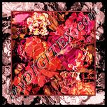 Colour:J