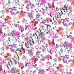 Colour:B