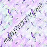 Colour:D
