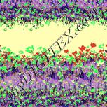 Colour:F