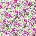 Colour:C