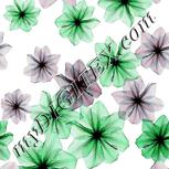 Colour:C