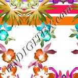 Colour:B