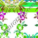 Colour:C