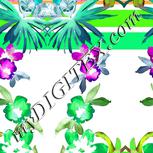 Colour:D