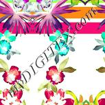 Colour:K