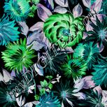 Colour:F